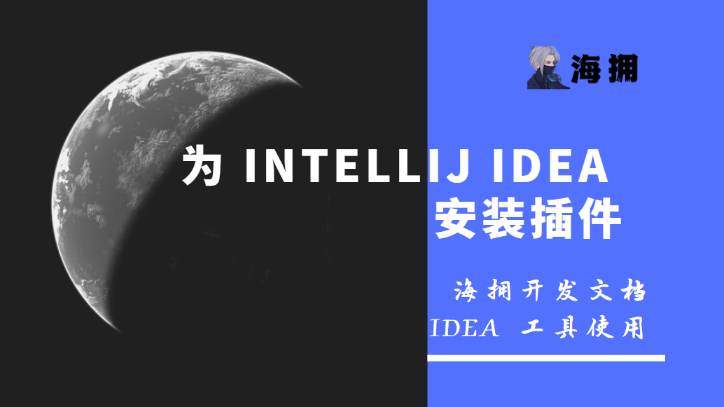 为 IntelliJ IDEA 安装插件